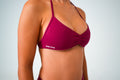 Goddess Bralette — Berry
